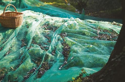 Green Plantation Fruit Collection Agricultural Harvesting Netting Walnut Olive Chestnut Apricot