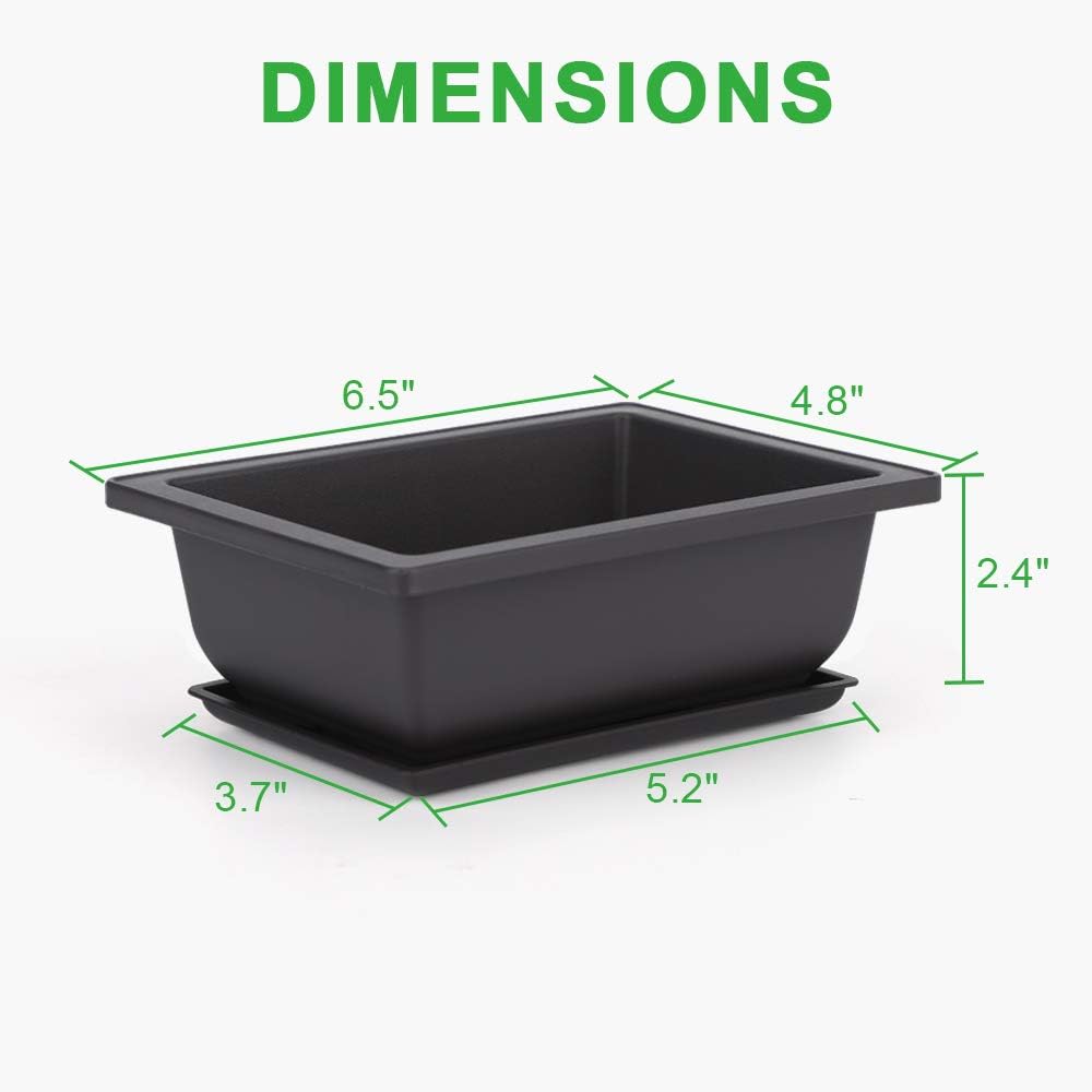 GROWNEER 6 Packs 6.5 Inch Bonsai Training Pots with Drainage Humidity Trays, Bonsai Tree Kits with