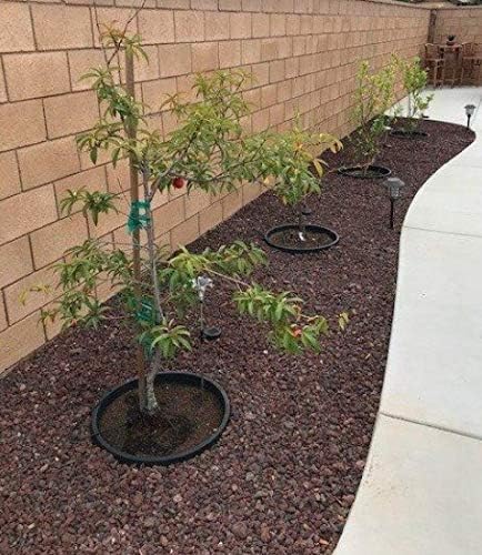 6 Pack of 24 in Planting Rings. Edging and Water Retention. Protects Trees and Separates Rock