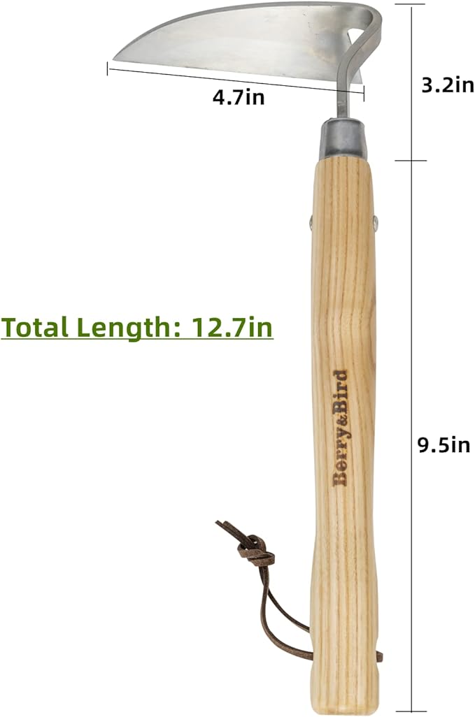 Berry&Bird Japanese Weeder-Scraper-Hoe, 12.67-Inch Gardening Sickle Hoe, Stainless Steel Bent Angle