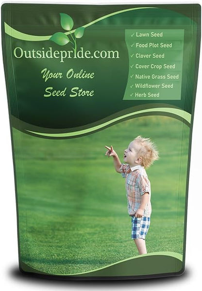 Outsidepride Showtime Perennial Lawn Grass Seed Mix - 25 lbs. Premium Blend of Creeping Red Fescue