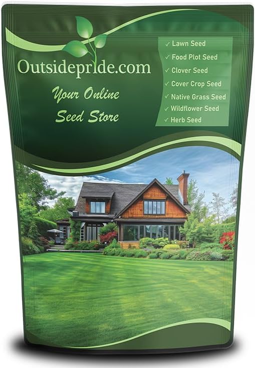 Outsidepride Midnight Kentucky Bluegrass Seed - 5 Lbs. Cold & Drought Tolerant, Sun-Loving Lawn