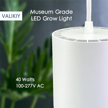 Hanging Grow Light 40W Large, Full Spectrum Warm White Color Plant Lamp, 120V Plug-in with Timer