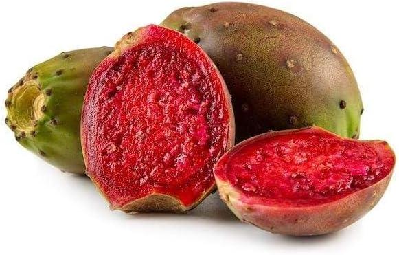 Greenhouse PCA Red Cactus Pear Seeds (Optunia Ficus-Indica), 10 Count, Drought Tolerant, Year-Round
