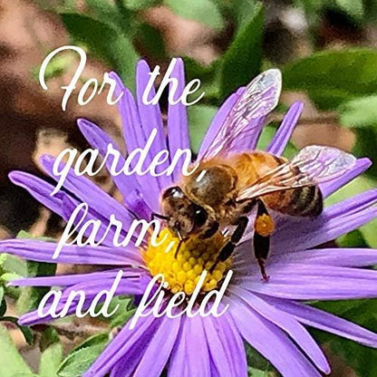 All Annual Wildflower Mix Seed for Planting - 1 Lb ~16,000+ Seeds - 21 Varieties Including
