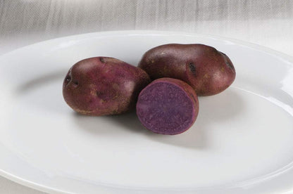 2 Lbs Adirondack Blue Seed Potatoes - USA Non-GMO Certified Potato TUBERS