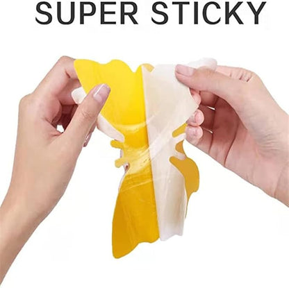 Sticky Insect Traps 40 Pcs - Gnats Fruit Fly Traps for Indoors House - Yellow Double-Sided Sticky