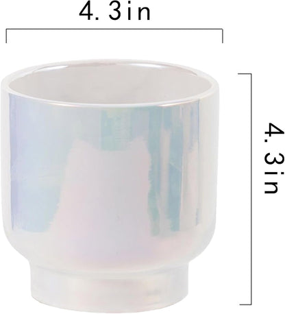 LB Blue White Ceramic Planters for Indoor Plants, Succulent Plant Pots Ceramic Plant Pot, Modern