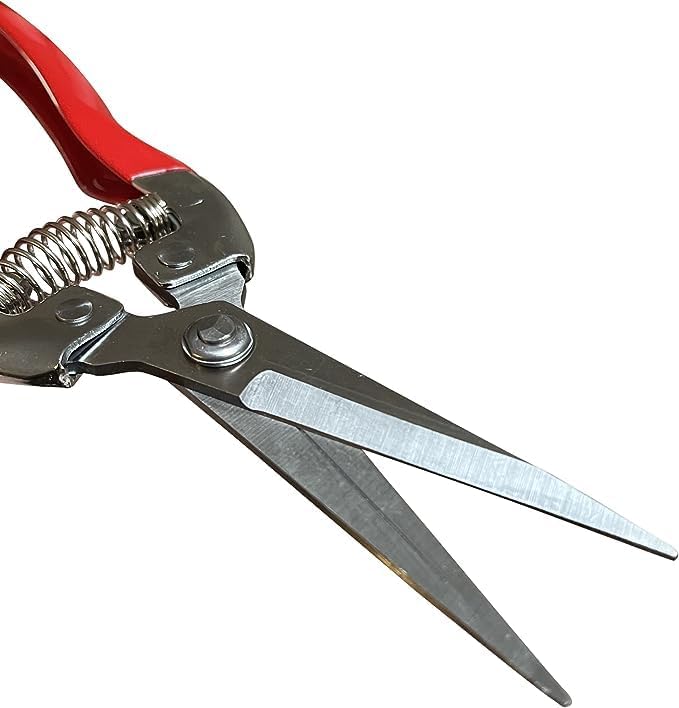Garden Guru Straight Stainless Steel Pruner Pruning Shears Clippers Snips – Sharp Bonsai Cutter