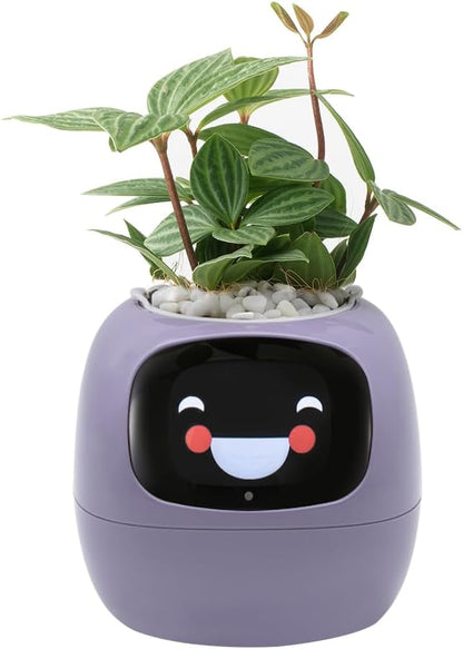 Smart Pet Planter, Smart Plant Pot, With Artificial Intelligence, Time Weather Display, And
