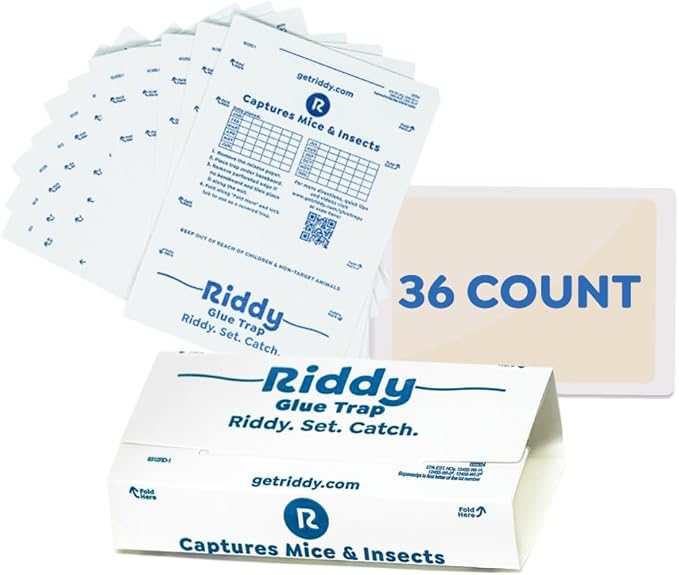 Riddy Glue Boards, 36 Boards, Pre-Baited, Ready to Use Mouse Traps Indoor for Home, Sticky Adhesive