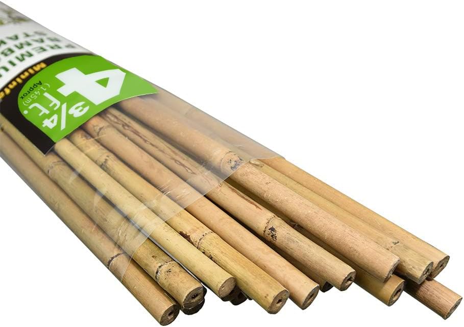 Mininfa Natural Bamboo Stakes 57 Inch (Approx 5 FEET), Eco-Friendly Garden Stakes, Plant Stakes