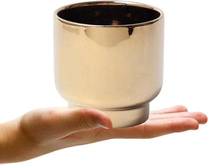 LB Gold Ceramic Planters for Indoor Plants, Succulent Plant Pots Ceramic Flower Pots, Modern Plant
