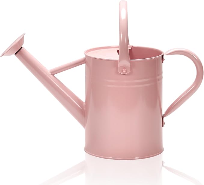 Metal Watering Can with Removable Spout, Galvanized Watering Can, Perfect for Indoor Use and for