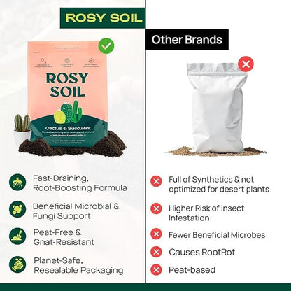 Rosy Soil Cactus and Succulent Potting Soil Mix for Houseplants - Fast Draining Organic Potting