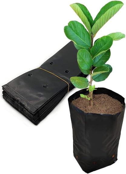Belit 100 Pcs Plant Nursery Bags, Plastic Seedling Pots Container for Fruit Tree, Flower, Starting