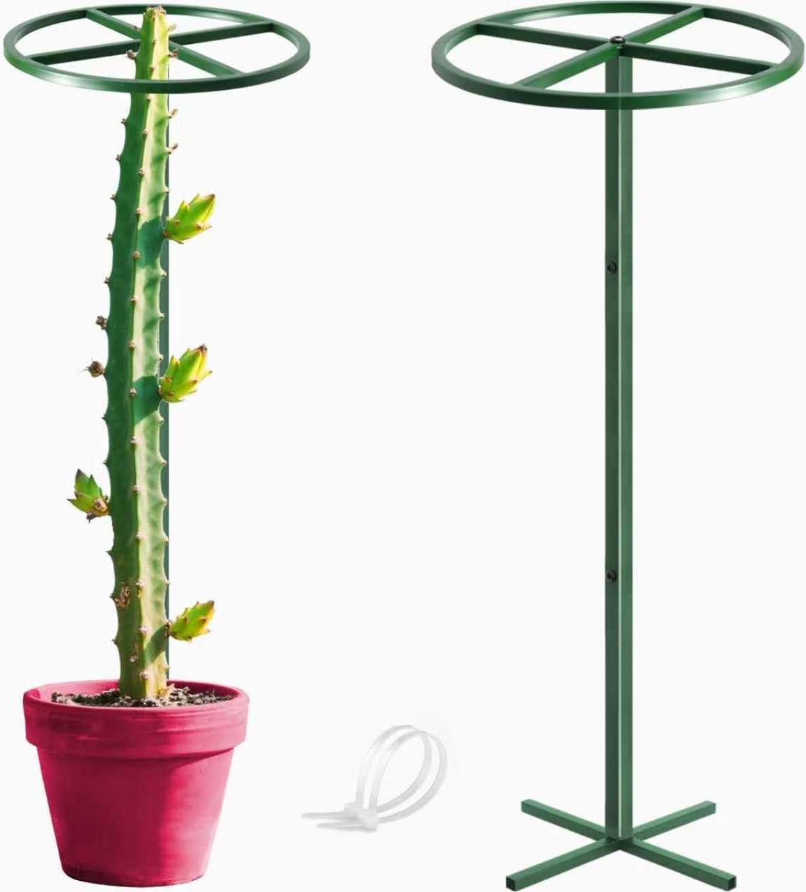 1 Pcs Adjustable Round Dragon Fruit Trellis,Durable Metal Plant Trellis Outdoor Climbing Plants