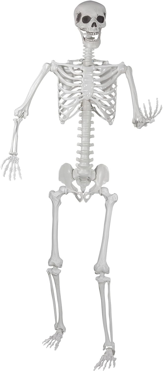 Halloween Skeleton, Realistic Life Size Skeleton with Movable Joints for Halloween Party Haunted