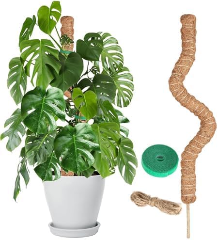 Moss Pole Monstera Plant Support – 48” Bendable Moss Pole Monstera Plant Support, Plant Stakes for