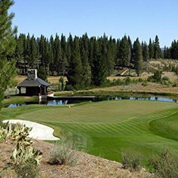 Outsidepride PC2.0 (Penncross) Creeping Bent Grass Seed – 1 lb. Premium Golf Course Grade, Dense