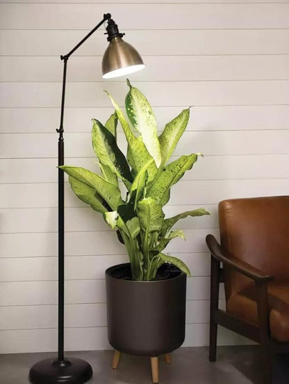 Grow Light Bulbs for Indoor Plants, Full Spectrum Grow Light Bulb, 11W LED Growing Plant Light Bulb