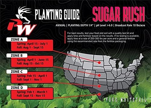 Sugar Rush | Select Seed Blends | Easiest Deer Feeder | Late Season Whitetail Deer Food Plot |