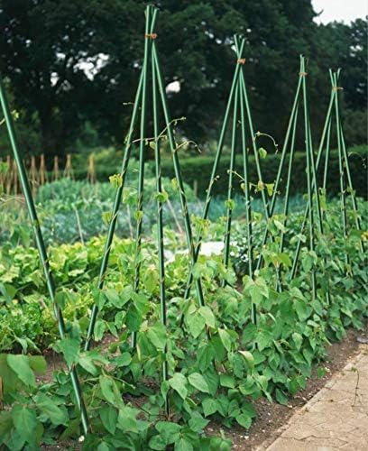 4ft Garden Stakes 50pack for Plants Vegetable Fence Post, 1/4" Dia Fiberglass Stakes