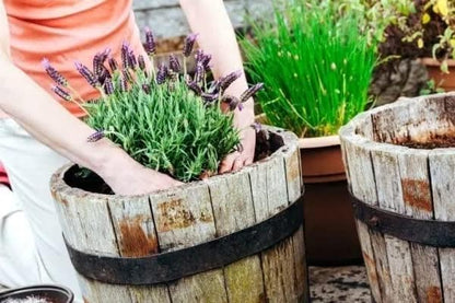 Gardenera Organic Moisture Control Potting Mix - Absorbs 33% More Water Than Basic Potting Soil