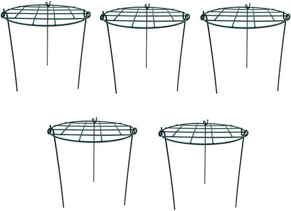 12 x 16 inch Poeny Cage Grow Through Grid Plant Brace Flower Support Rings, Pack of 5 Round Metal