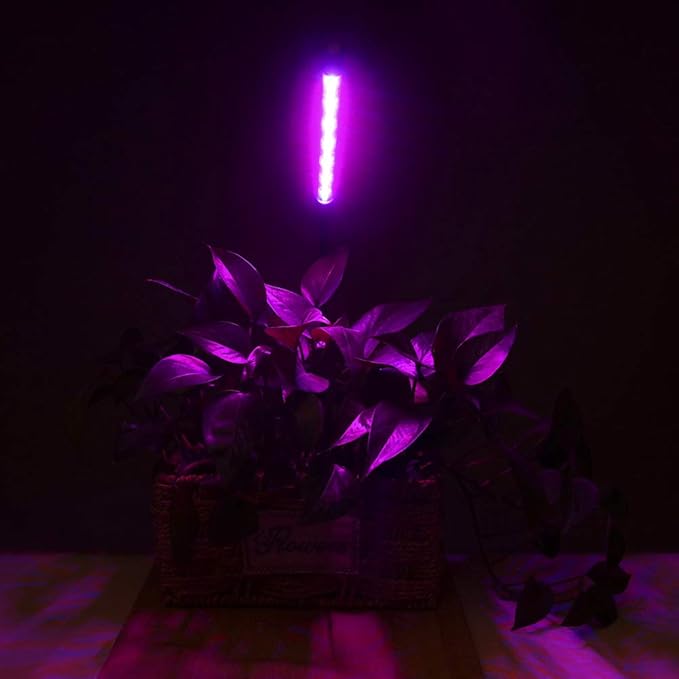 LED Grow Lights for Indoor Plants 20 LED, Plant Growing Lights Full Spectrum Auto ON Off with
