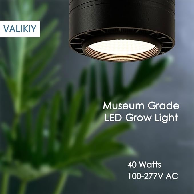 Hanging Grow Light 40W Large, Full Spectrum Warm White Color, with Timer, Plug-in Pendant Grow