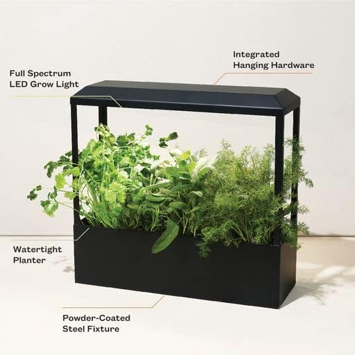 Modern Sprout Smart Growhouse - LED Grow Light for Indoor Plants - Plant Grow Light for Indoor
