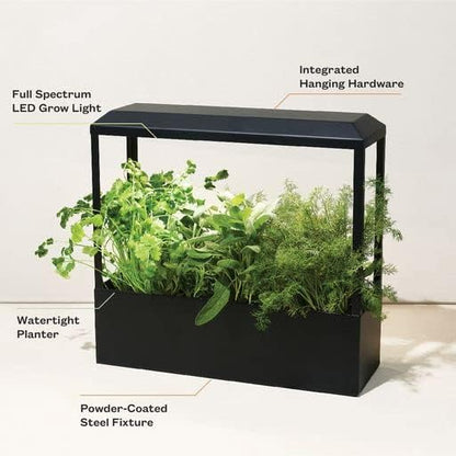 Modern Sprout Smart Growhouse - LED Grow Light for Indoor Plants - Plant Grow Light for Indoor