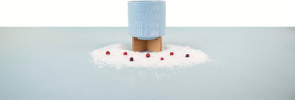 Ceramic Holiday Planter Pot, Let it Snow Design, Powder Blue & White, Holds 4" House Plant or