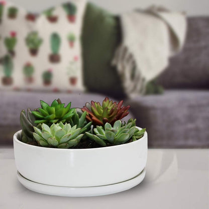 SQOWL 8 inch White Round Ceramic Succulent Planter Pot Modern Flower Cactus herb Big Planter with