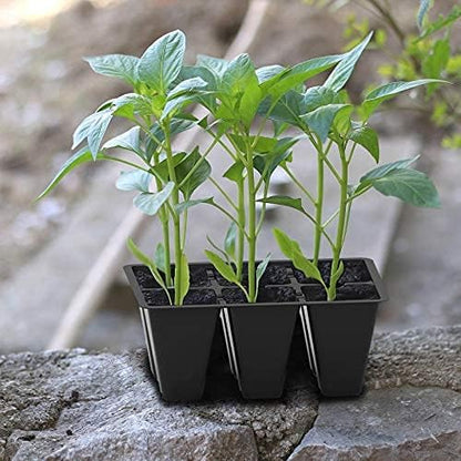 Gardzen 30 Pack 6-Cell Seed Starting Tray for Seedlings, Plant Starter Trays with Drainage Holes