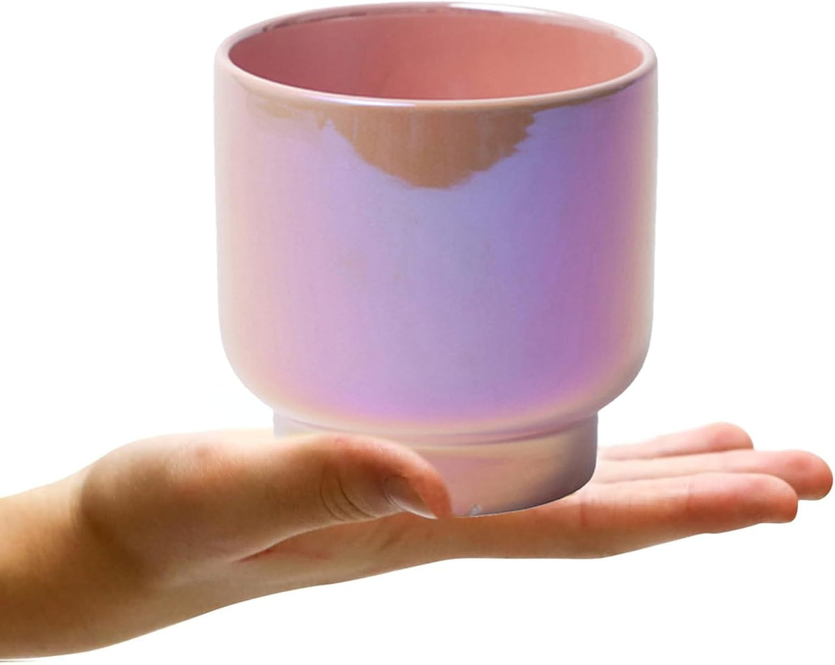 LB Pink Purple Ceramic Planters for Indoor Plants, Succulent Plant Pots Ceramic Plant Pot, Cute