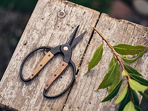 Barebones Garden Scissors - Walnut Scissors - Garden Supplies and Indoor Plant Accessories - Plant