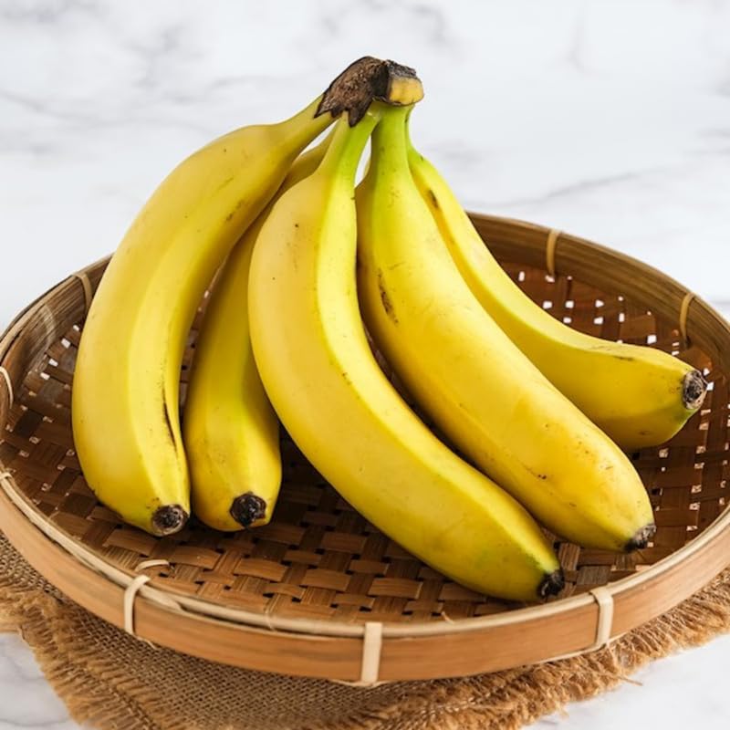 Dwarf Cavendish Banana Plant in 3 Gallon, 2-3 Ft Tall Banana Trees Live Plants for Outdoors Garden