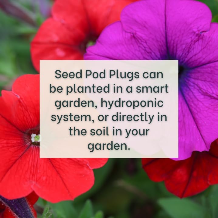 White Petunia - Complete Seed Pod Plugs with Plant Food - 10 Pods for Hydroponic Gardens, Click and