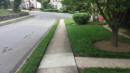 Natural Alternative Grass Seed for High Traffic Areas 10 lb. (12010 - Iron Man)
