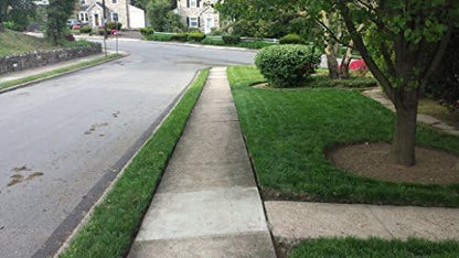Natural Alternative Grass Seed for High Traffic Areas 10 lb. (12010 - Iron Man)