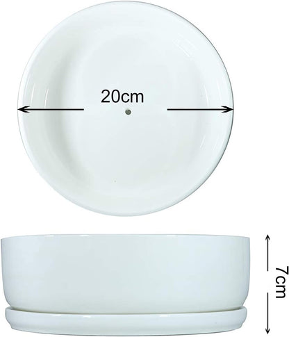 SQOWL 8 inch White Round Ceramic Succulent Planter Pot Modern Flower Cactus herb Big Planter with