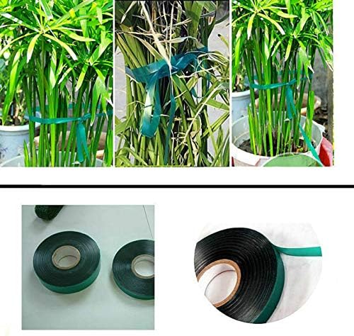 24 Rolls 150 Feet Stretch Tie Tape 0.5 Inch Garden Tie Tape Thick Plant Ribbon Garden Green Vinyl