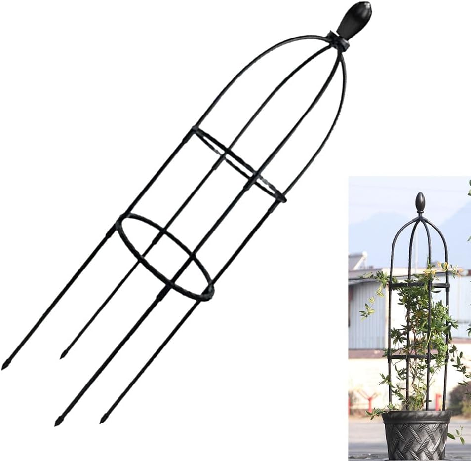 GardenPal Rustproof Metal Pipe Garden Obelisk Trellis, Tomato Cage and Plant Support for Climbing