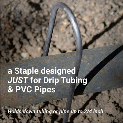 Sandbaggy Round Top 6-Inch Landscape Staples ~ SOD Garden Stakes Square Pin for Ground Cover Fabric