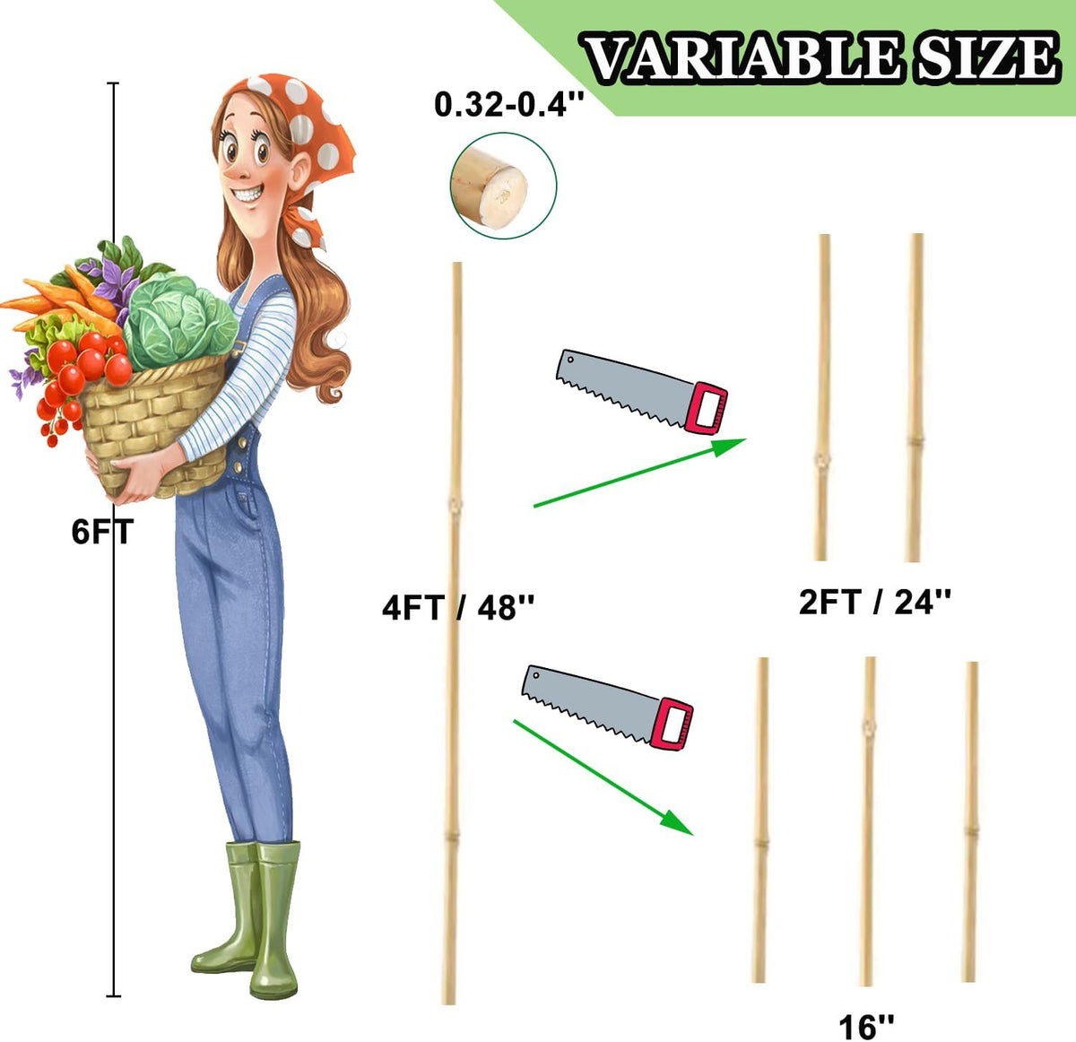 Bamboo Plant Stakes – 25pcs 4FT Natural Bamboo Garden Stakes for Tomatoes, Peppers, Beans, Indoor &