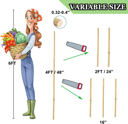 Bamboo Plant Stakes – 25pcs 4FT Natural Bamboo Garden Stakes for Tomatoes, Peppers, Beans, Indoor &