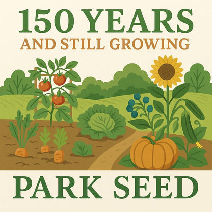 Park Seed Grow Your Own Eucalyptus Seeds Plant, Perfect for Indoor Growing and Spring Garden, Lemon