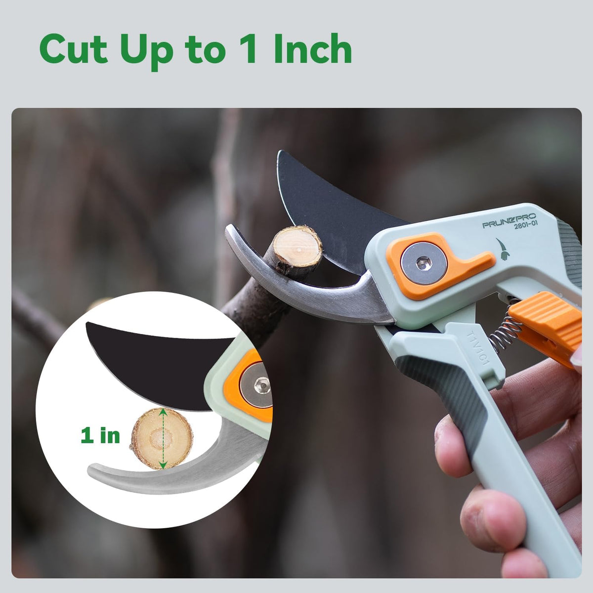 PrunePro 8" Professional Pruning Shears for Gardening Bypass Hand Pruner Stainless Steel Sharp
